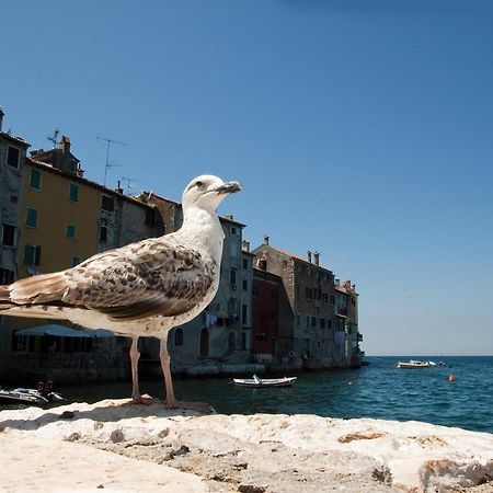 Maximus Apartment Rovinj Bagian luar foto