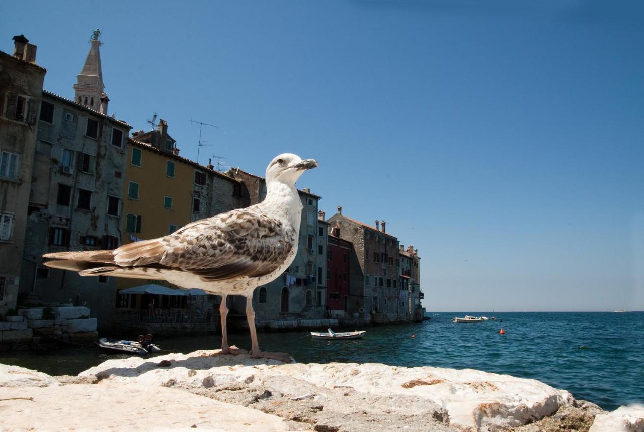 Maximus Apartment Rovinj Bagian luar foto